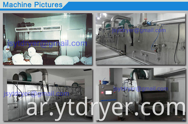 DWT mesh Belt Dryer machine Drying heat sensitive raw mater